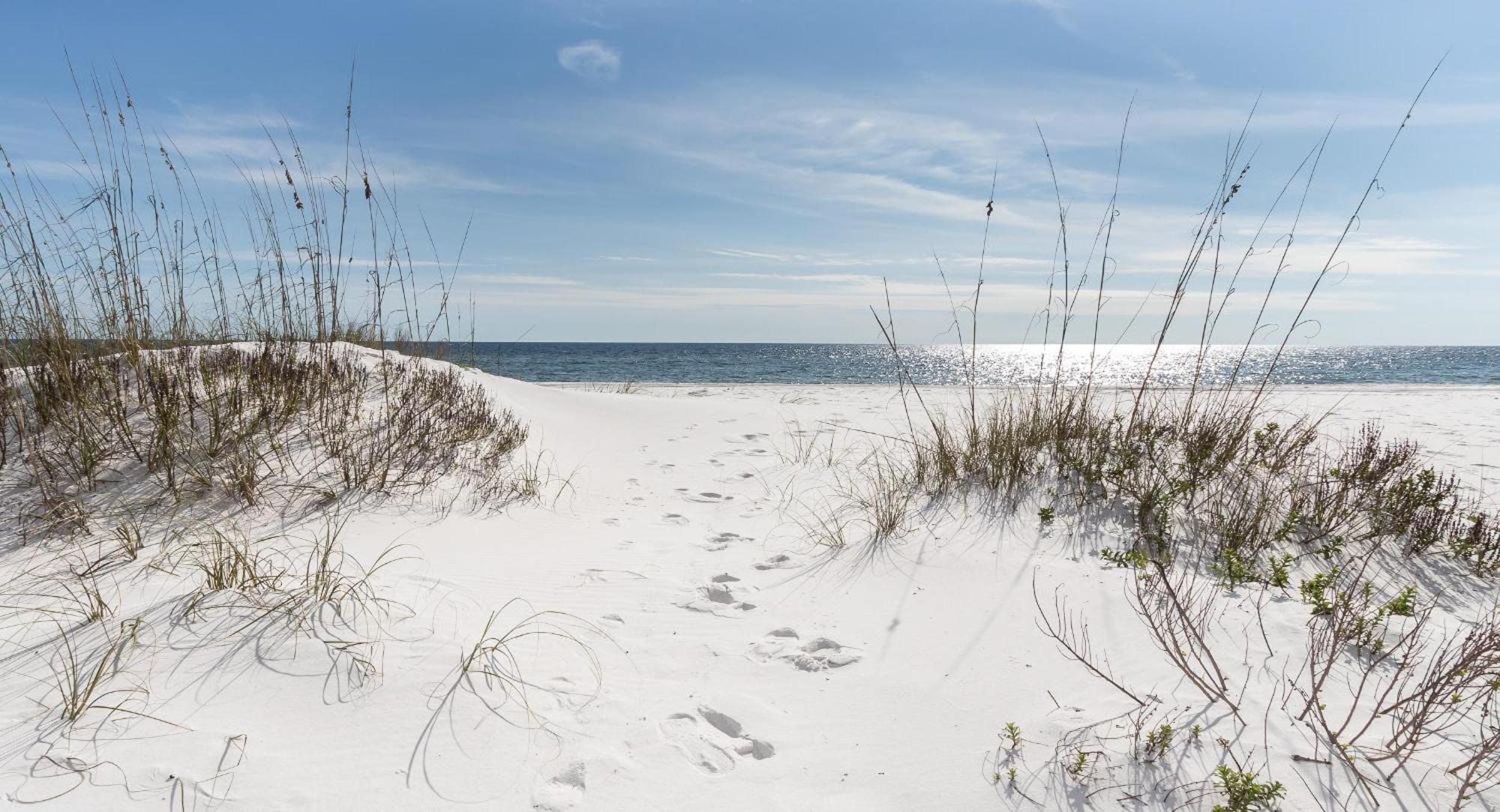 Nautilus Unit 2310 Villa Fort Walton Beach Eksteriør billede