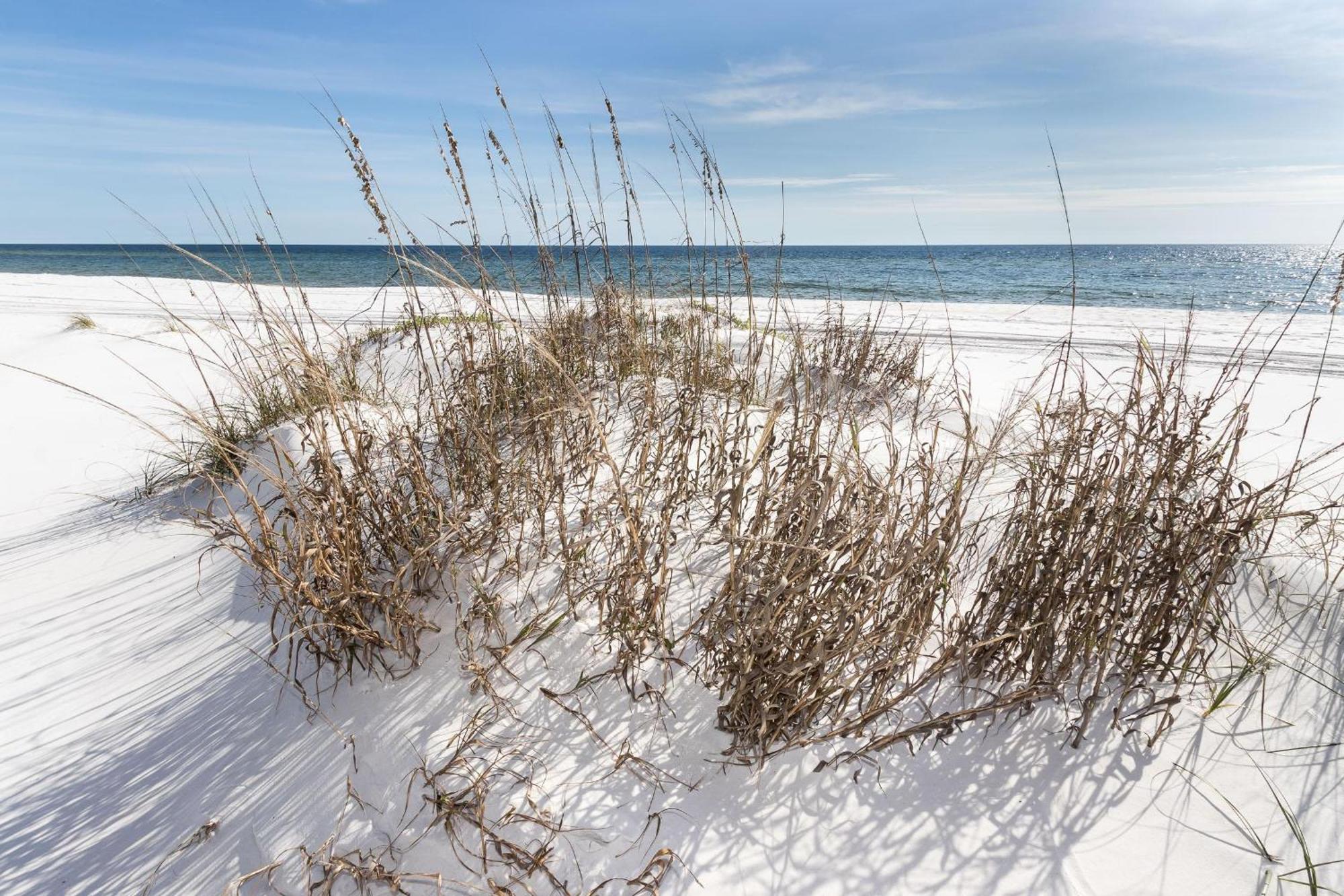 Nautilus Unit 2310 Villa Fort Walton Beach Eksteriør billede